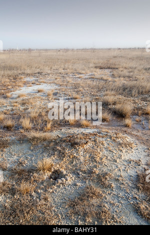 Il letto di quella che una volta era una fiorente lago essiccato in 1999 dal cambiamento climatico indotto siccità vicino Dongsheng, Cina settentrionale Foto Stock