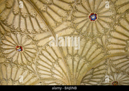 Oxford, Inghilterra, Regno Unito. Christ Church College. Ventilatore soffitto a volta (1638) al di sopra della scala (James Wyatt, 1805) alla sala da pranzo Foto Stock