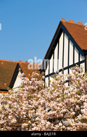 Case in Ealing W5 London Regno Unito Foto Stock