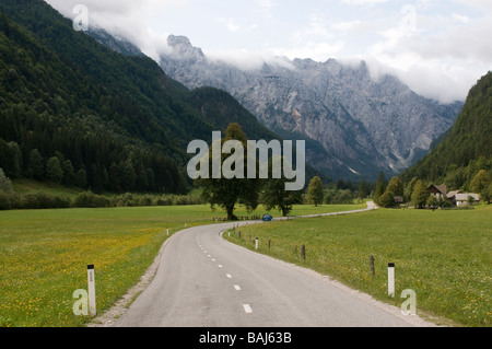 Strada di campagna che conduce attraverso la Valle Logarska dolina Slovenia Europa orientale Foto Stock