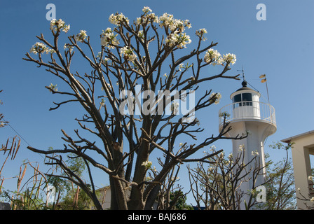 Faro di costa di Diego Suarez Africa Madagascar Foto Stock