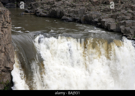 Il Palouse cade goccia circa 200 piedi a Palouse River Canyon a circa 6 miglia a monte del fiume Snake. Foto Stock