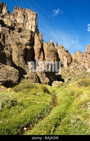 Patagonia paesaggio, Santa Cruz, Argentina. Foto Stock