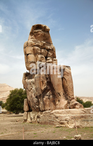 Colosso di Memnon, Tebe, Luxor, Egitto Foto Stock