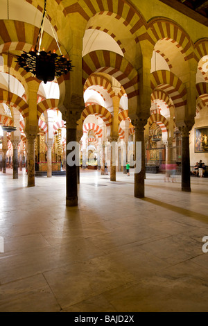 Spagna, Andalusia Cordoba, storico parte classificato come patrimonio mondiale dall'UNESCO, la cattedrale di Cordoba (Mezquita), un ex Foto Stock