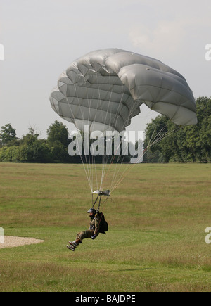 Esercito paracadute in caduta libera concorrenza Foto Stock