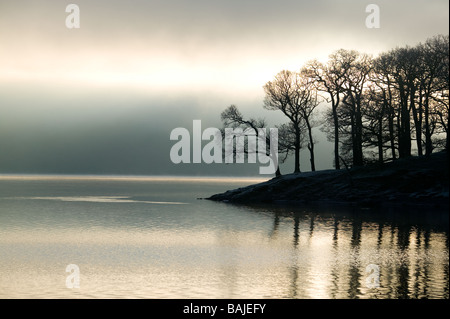 Gli alberi sul bordo del lago stagliano contro rottura sole attraverso una nebbia di mattina sulla Derwent Water nel distretto del Lago Foto Stock