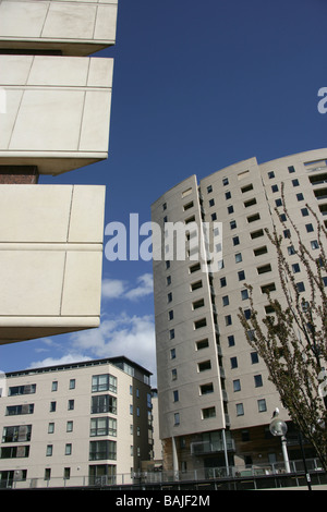 Città di Cardiff, nel Galles del Sud. Alloggiamento moderno sviluppo in Cardiff East Bute Street. Foto Stock