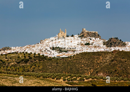 Panoramica di Olvera villaggi bianchi in Sierra di Cadice Andalusia Spagna Foto Stock