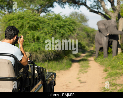 Uomo su safari, tenendo fotografia di elefante, vista posteriore Foto Stock