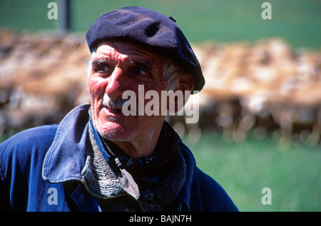 Francese antico Allevatore ovino sul Col du Perjuret per l annuale transumanza delle pecore Cevennes Lozere Francia Foto Stock