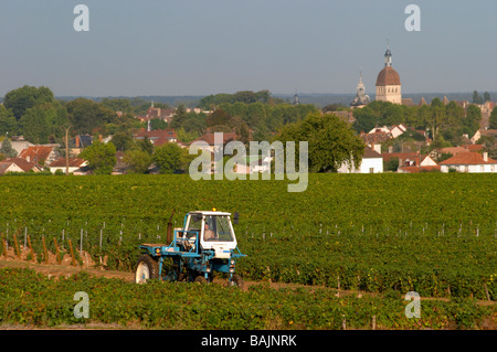 Il trattore nella vigna beaune città nella distanza vigneto beaune Cote de Beaune Borgogna Francia Foto Stock