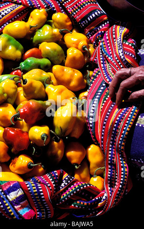 Guatemala, dipartimento di Huehuetenango, Cuchumatanes, San Juan Atitan, ritratto di un adolescente con Il vestito tradizionale Foto Stock