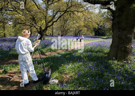 Hillhouse legno a West Bergholt vicino a Colchester Essex piena di Bluebells in primavera Foto Stock