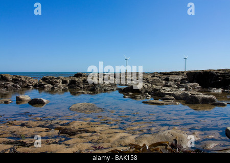 Cambois spiaggia a nord di Blyth Northumberland mostra piccoli offshore wind farm della turbina Foto Stock