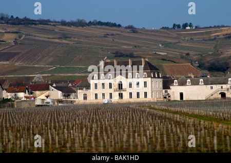 Vigneto Chateau de pommard Cote de Beaune Borgogna Francia Foto Stock