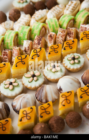 Selezione dei Petits Fours Vintners Festival di Santa Barbara in California negli Stati Uniti d'America Foto Stock