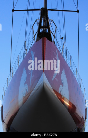 Volvo Ocean Race 2008-2009. Il Team Racing Puma yacht nel porto di Boston. Foto Stock