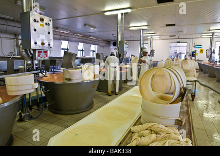 Il Parmigiano Reggiano lavorando Coop Casearia Castelnovese Castelnuovo Rangone Provincia di Modena Italia Foto Stock