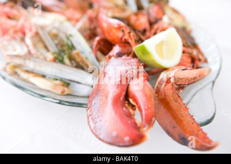 Crostacei mediterranei Foto Stock