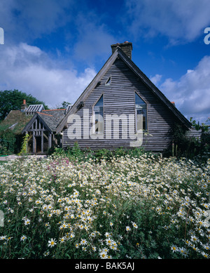 Lamper house casa lamper dittisham devon progettato Roderick James costruito carpenter bosco di querce vista sul prato di fiori Foto Stock