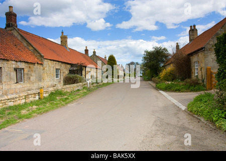 Paesaggio panoramico vista del villaggio Guyzance Main Street vicino Acklington in Northumberland rurale Foto Stock