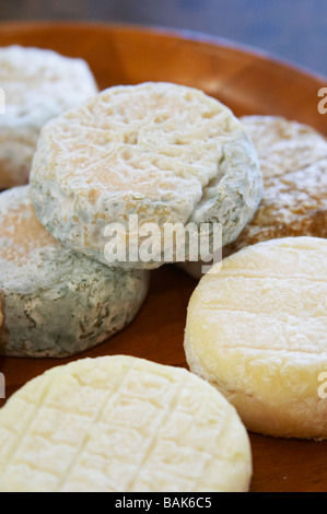 Saint Marcellin formaggio di variare la maturità dom un voge cornas Rhone Francia Foto Stock