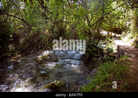 Fiume Majaceite in grazalema Benamahoma villaggi bianchi Sierra de Cadice Andalusia Spagna Foto Stock