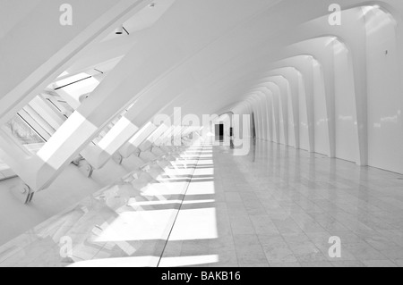 Vista interna di Milwaukee Art Museum Foto Stock