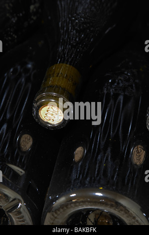 Pila di bottiglie Domaine du Vieux telegraphe Chateauneuf du Pape Rhone Francia Foto Stock