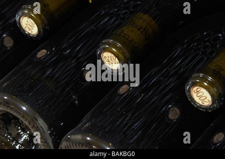 Pila di bottiglie Domaine du Vieux telegraphe Chateauneuf du Pape Rhone Francia Foto Stock