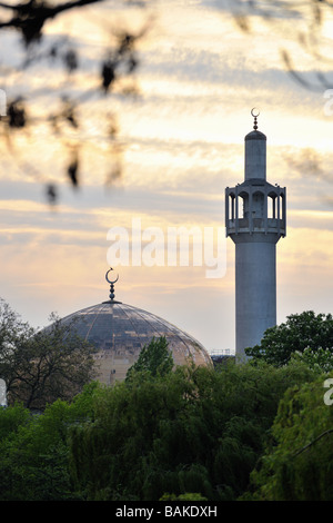 Londra Moschea centrale (Regents Park Moschea) Inghilterra Regno unito al tramonto Foto Stock