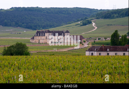 Chateau du Clos de Vougeot e vigna Côte de Nuits Borgogna Francia Foto Stock