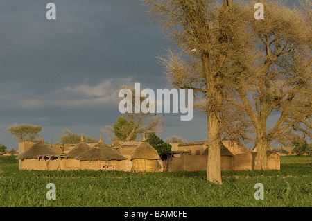 Il Burkina Faso, Oubritenga Provincia, Laongo, campi di miglio, case di famiglia e di miglio granaio da Mosi gruppo etnico sul Foto Stock