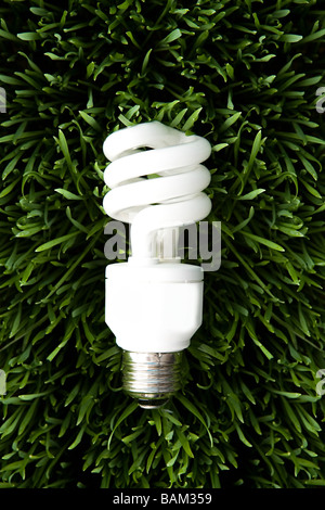 Un risparmio energetico lampadina Foto Stock