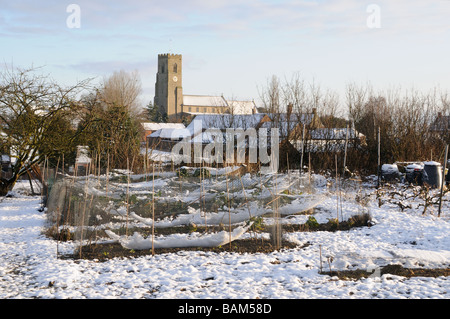 Cavoli sotto il netting sul riparto con la posa di neve villaggio chiesa in background Foto Stock