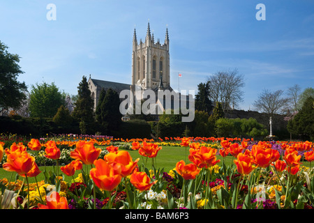Vista di St James / St Edmundsbury Cathedral visto dall'Abbey Gardens a Bury St Edmunds, Suffolk, Regno Unito nel 2009 Foto Stock