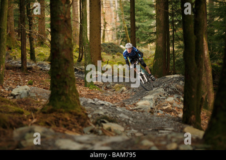 Mountain Biker giostre a Coed-y-ciclo Brenin Centre in Galles Centrale Foto Stock