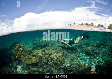 Lo snorkeling a Raja Ampat Raja Ampat Papua Nuova Guinea Indonesia Foto Stock