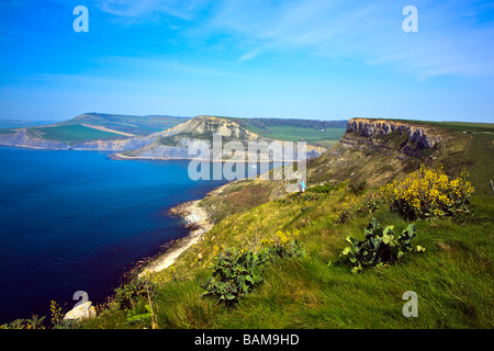 Via costiera verso Chapman's Pool, Isle of Purbeck Dorset Regno Unito 2009 Foto Stock