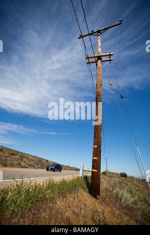 Linea elettrica di potenza pole contro il cielo blu, il Deserto Mojave, Route 66, nel sud della California, Stati Uniti d'America Foto Stock