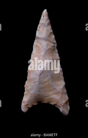 Il neolitico Arrowhead dal Sahara (c4000BC - 29mm) Foto Stock