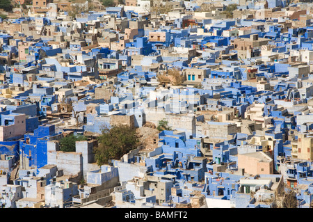 Jodhpur Blue case dipinte in Rajasthan Foto Stock