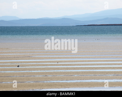 Sabbia ondulata appartamenti a bassa marea norfolk bay tasmania australia Foto Stock