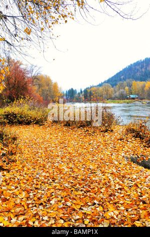 Foglia percorso di moquette sul sentiero in Leavenworth, Waterfront City Park Foto Stock