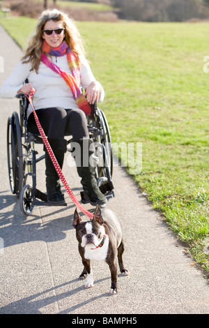 Donna in carrozzella assumendo il suo cane per una passeggiata Foto Stock