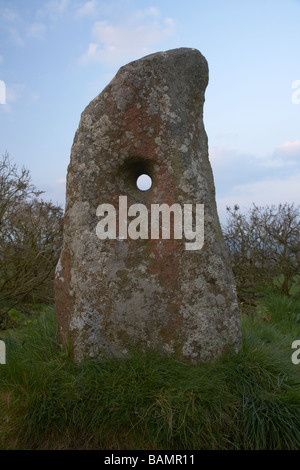 Il holestone pietra permanente a Newtownabbey County Antrim Irlanda del Nord è un antico celtico pietra permanente Foto Stock