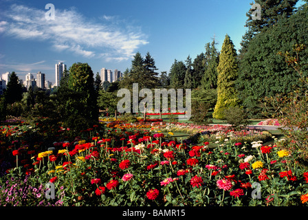 Fioriture dei fiori nei giardini di Stanley Park a Vancouver British Columbia Canada in estate Foto Stock