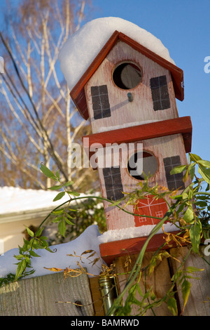 Casa uccello appollaiato su un recinto durante il periodo invernale Foto Stock