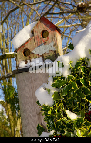 Casa uccello appollaiato su un palo da recinzione durante il periodo invernale Foto Stock